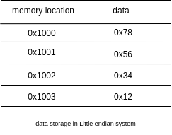 Endiannes - data storage in little-endian